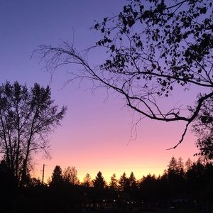 Meet your Posher, Mia